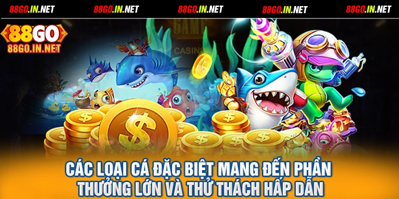 Các loại cá đặc biệt mang đến phần thưởng lớn và thử thách hấp dẫn