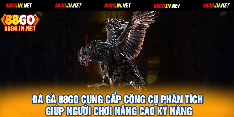 Đá gà 88GO cung cấp công cụ phân tích giúp người chơi nâng cao kỹ năng