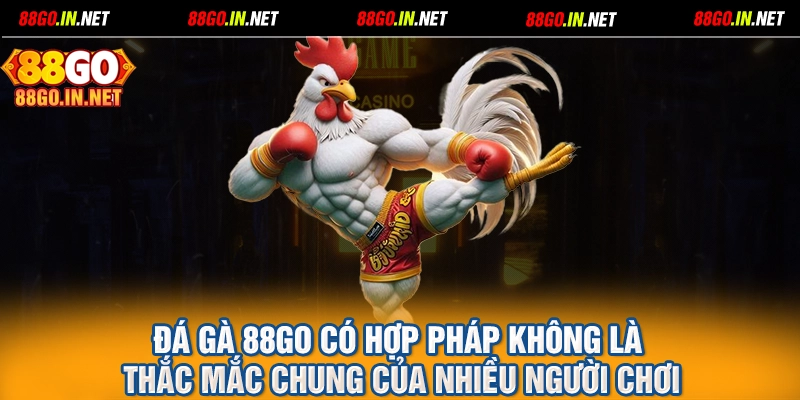 Đá gà 88GO có hợp pháp không là thắc mắc chung của nhiều người chơi