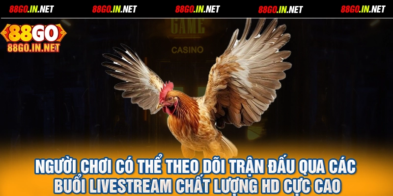 Người chơi có thể theo dõi trận đấu qua các buổi livestream chất lượng HD cực cao