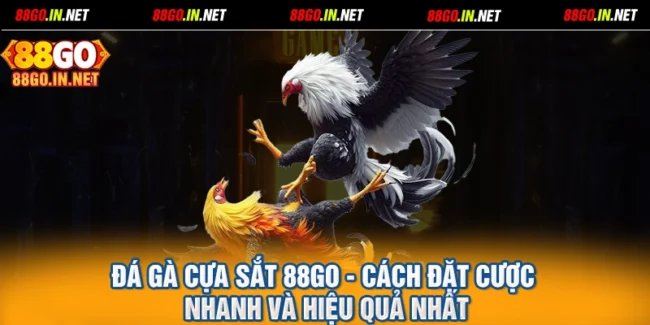 Đá Gà Cựa Sắt 88GO - Cách Đặt Cược Nhanh Và Hiệu Quả Nhất