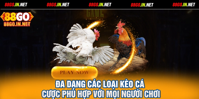 Đa dạng các loại kèo cá cược phù hợp với mọi người chơi