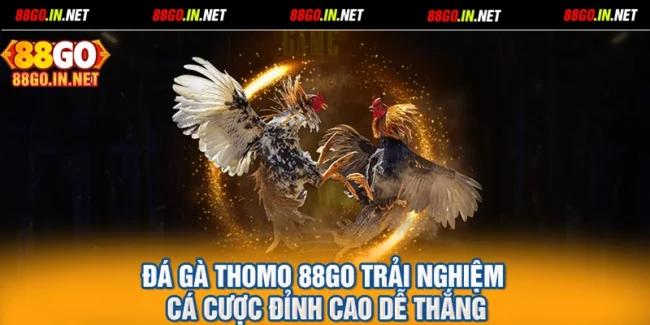 Đá Gà Thomo 88GO Trải Nghiệm Cá Cược Đỉnh Cao Dễ Thắng