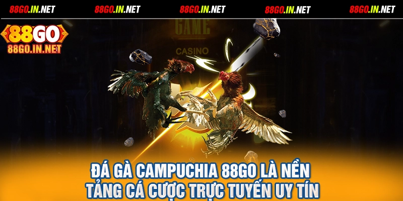 Đá gà campuchia 88GO là nền tảng cá cược trực tuyến uy tín