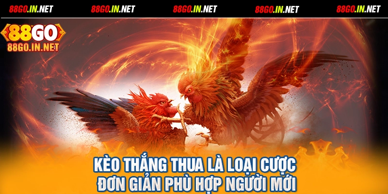 Kèo thắng thua là loại cược đơn giản phù hợp người mới