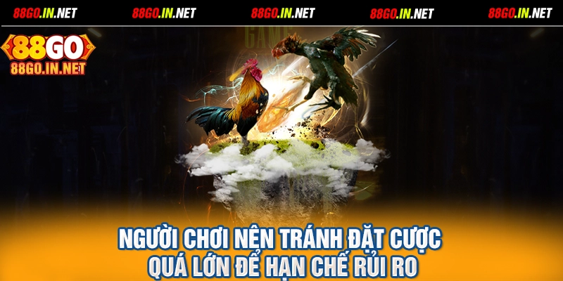 Người chơi nên tránh đặt cược quá lớn để hạn chế rủi ro