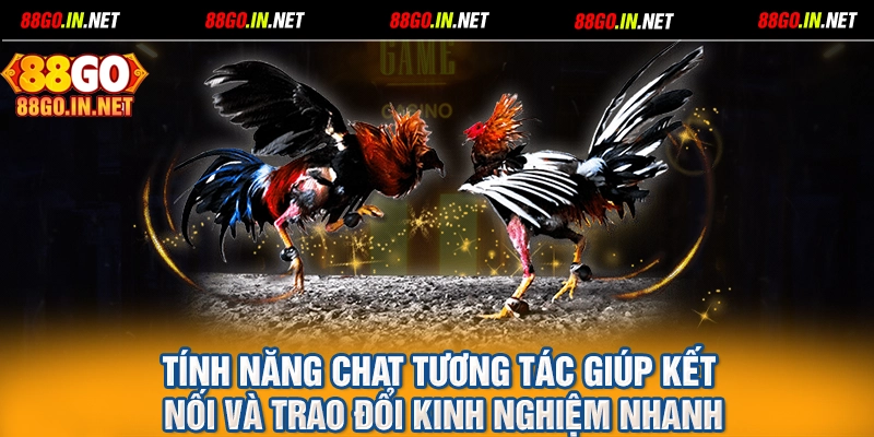 Tính năng chat tương tác giúp kết nối và trao đổi kinh nghiệm nhanh