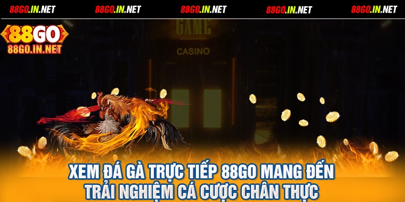 Xem đá gà trực tiếp 88GO mang đến trải nghiệm cá cược chân thực