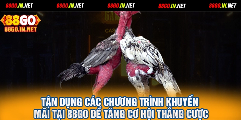 Tận dụng các chương trình khuyến mãi tại 88GO để tăng cơ hội thắng cượ