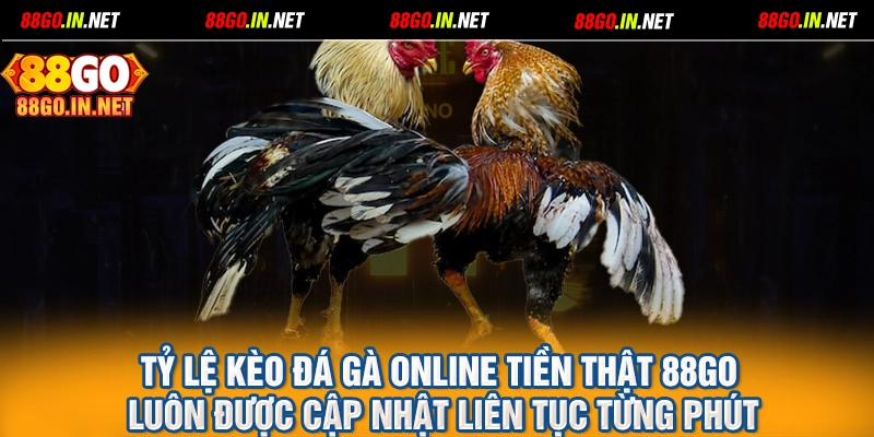 Tỷ lệ kèo đá gà online tiền thật 88GO luôn được cập nhật liên tục từng phút