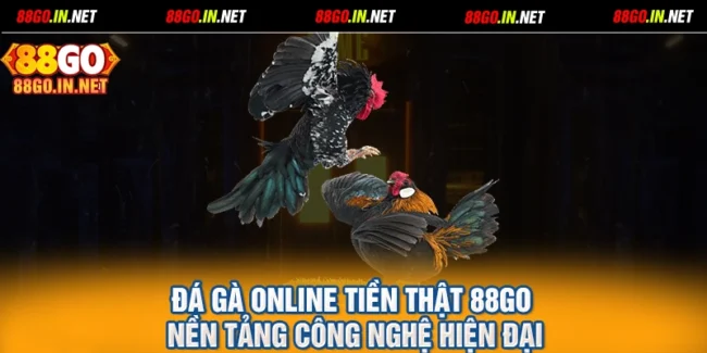 Đá Gà Online Tiền Thật 88GO Nền Tảng Công Nghệ Hiện Đại